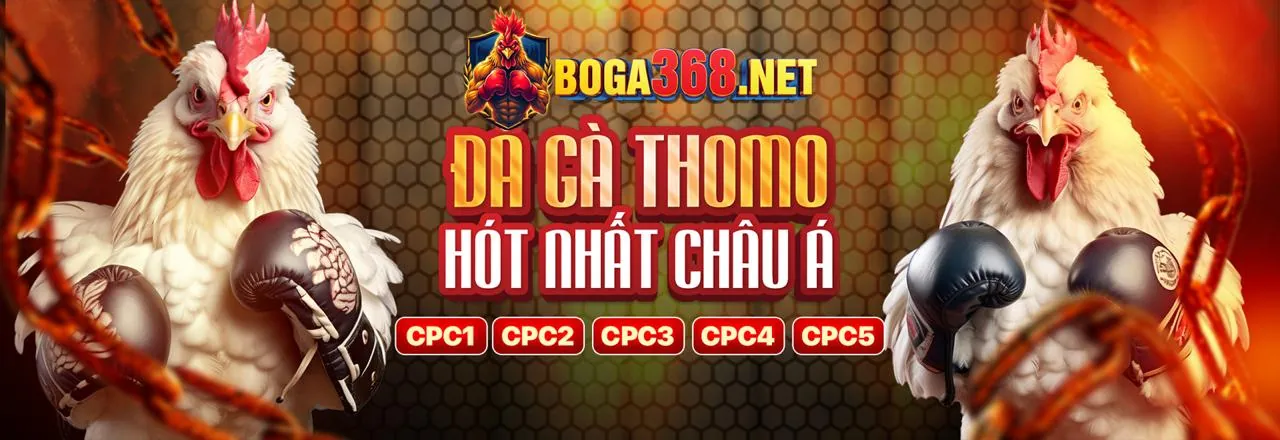 Chi tiết chương trình khuyến mãi độc quyền của ST666 Link
