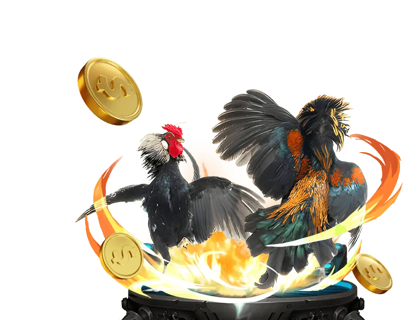 Các tính năng nổi bật của ứng dụng ST666 Link